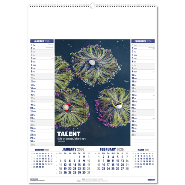 Insight Wall Calendar