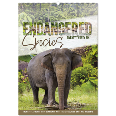 Endangered Species Wall Calendar
