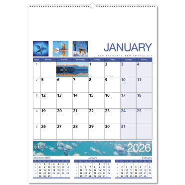 Organiser Wall Calendar